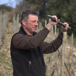 Domaine du Tunnel Stephane Robert Working in Cornas Vineyard